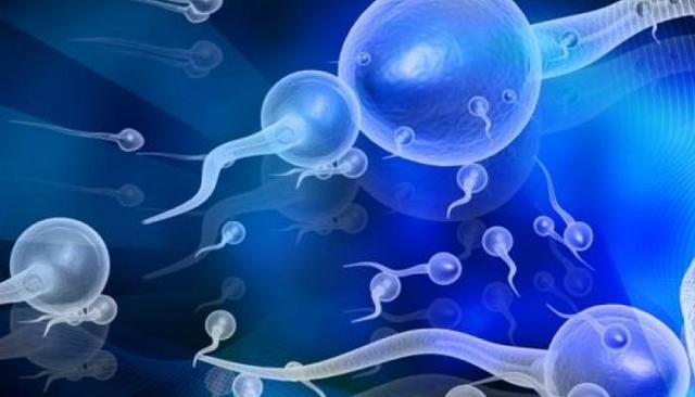 Жидкая прозрачная сперма: 12 причин, почему такой стала, что делать мужчине