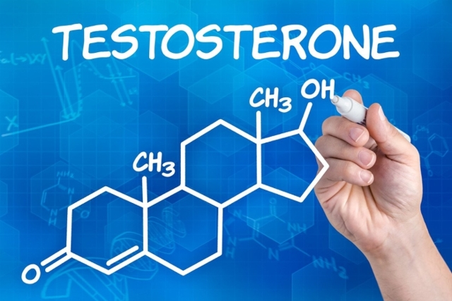 Тестостерон и потенция: влияние, повышение (препараты и продукты)