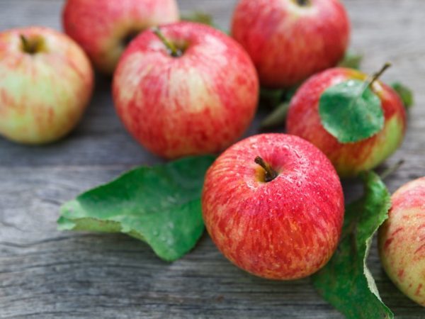 Яблоки для организма и потенции мужчины: польза и вред, рецепты, отзывы