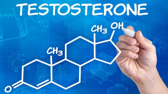 Продукты повышающие тестостерон у мужчин: список
