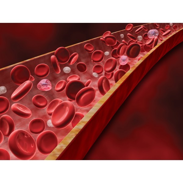 7 уловок как увеличить приток крови к половому члену экстренно