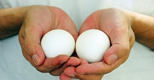 9 болезней яичек у мужчин и детей: описание, симптомы и лечение
