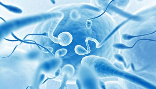 Олигоспермия у мужчин: степени, причины, лечение