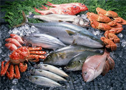 Морепродукты для потенции: какие морепродукты улучшают эрекцию?