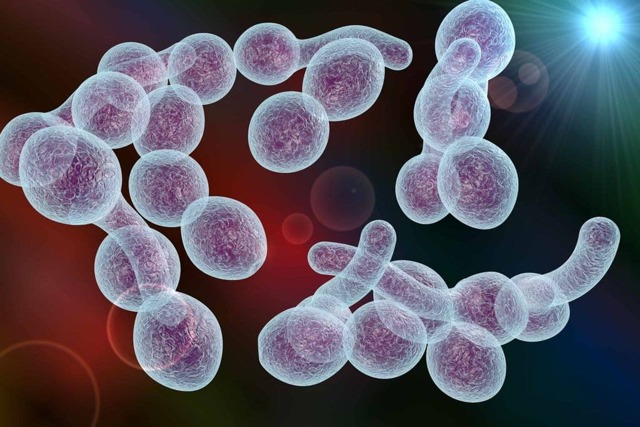 Бактериальный простатит у мужчин: причины, симптомы и лечение