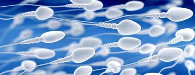 10 советов как 100% улучшить качество спермы у мужчин (+ препараты)