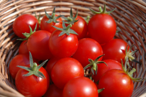 Польза и вред помидоров для организма мужчины и его потенции